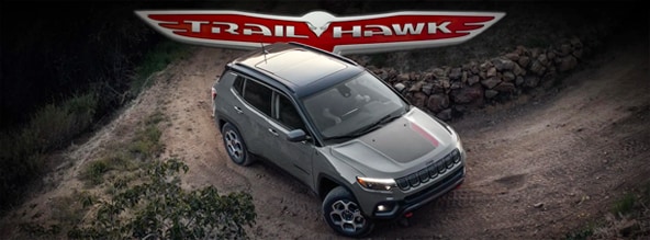 the adventure starts here