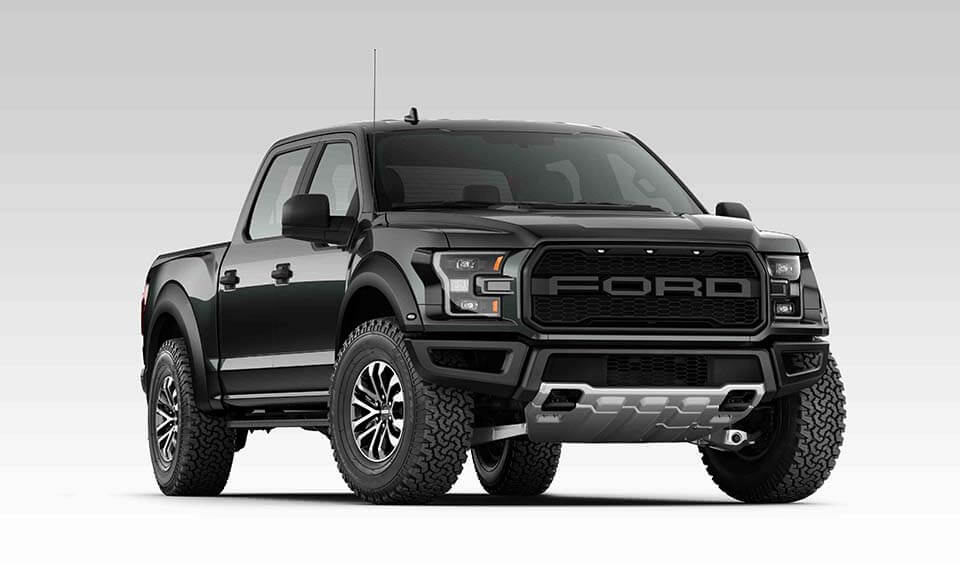 Raptor Raptor