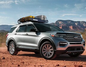 where beauty and muscle meet