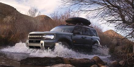 Available Interior Grab Handle