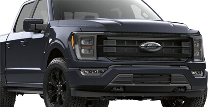 platinum black appearance package