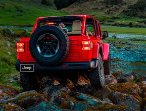 crawl with confidence