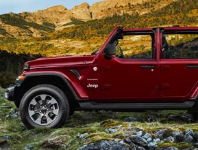 half doorsfull freedom