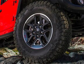 own the terrain