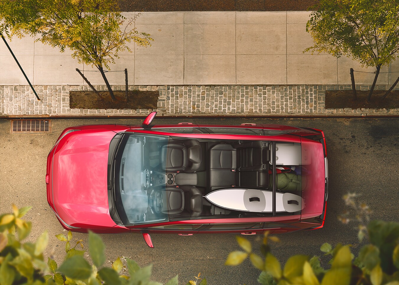 Top Down.jpg