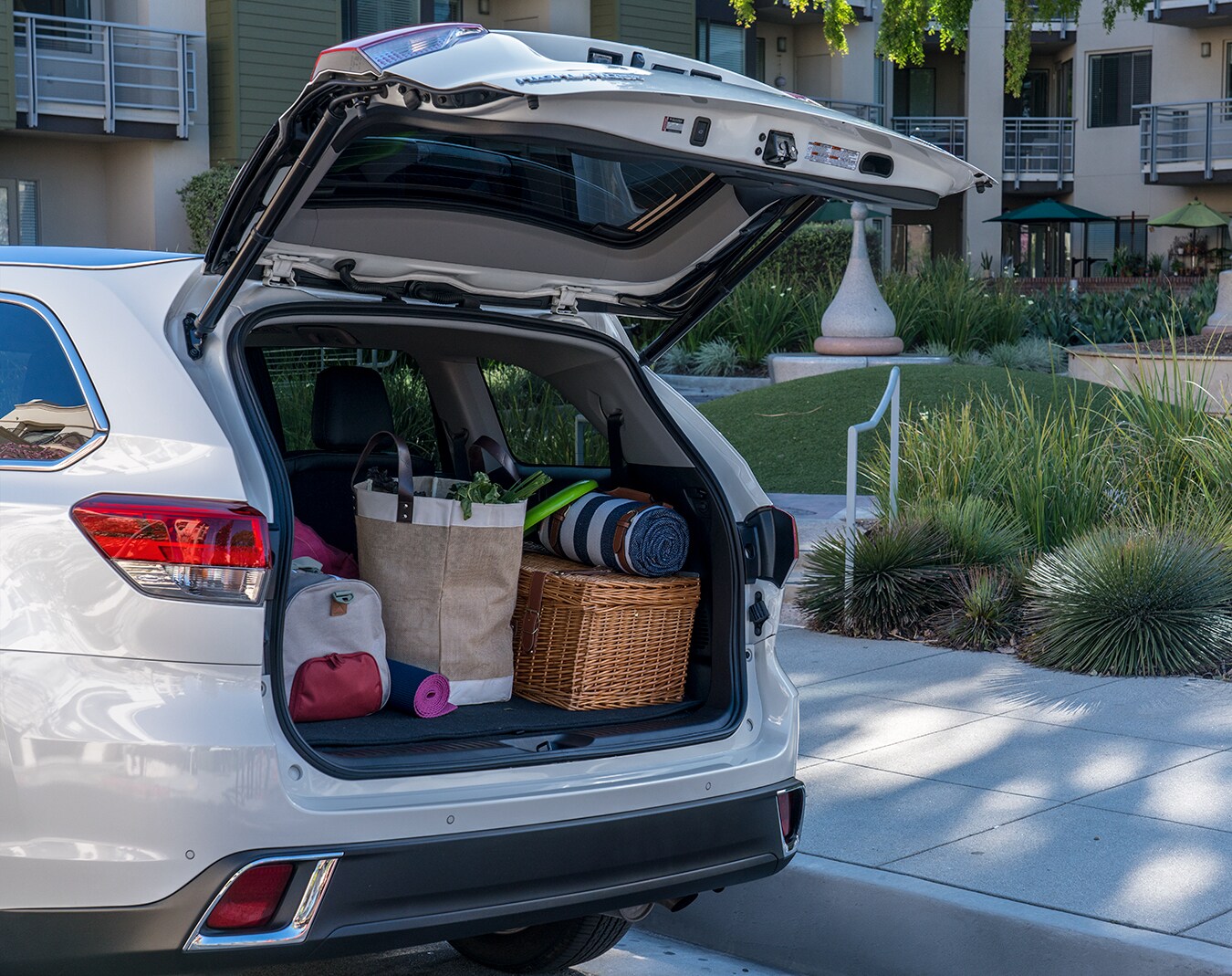 Trunk.jpg