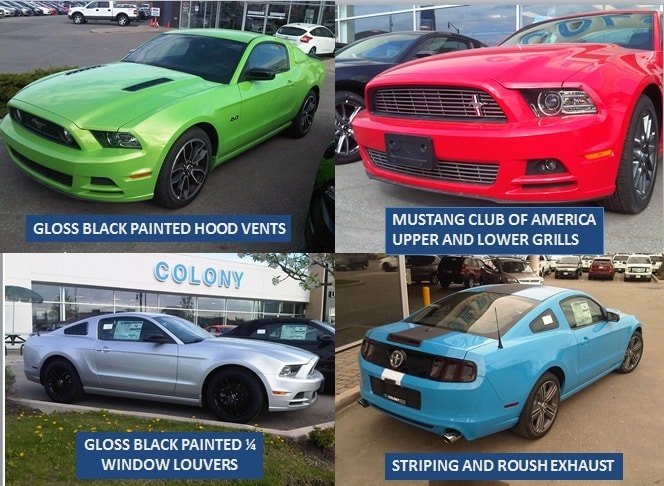 Colony Customs Details.jpg