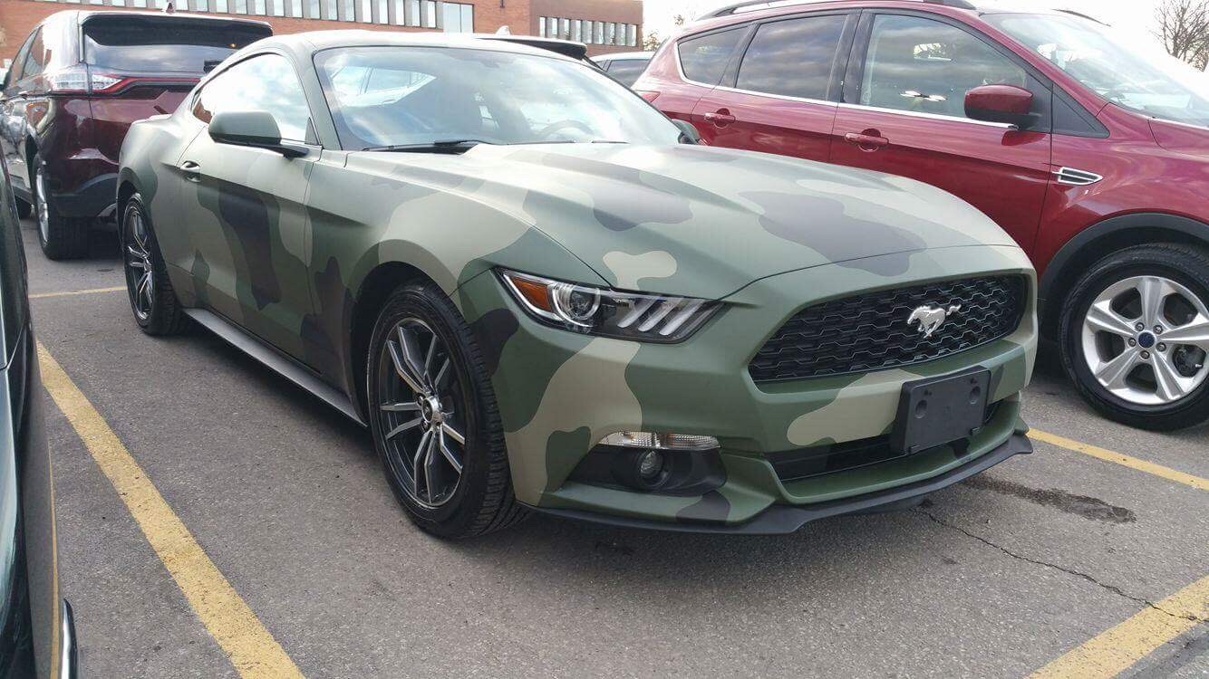 MUSTANG-AUG2017-2.JPG