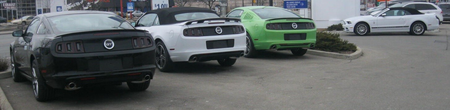 Mustang rear photo stretched.jpg