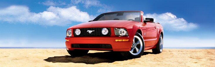 stang.jpeg