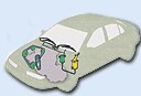 Belts, Wipers & Cooling