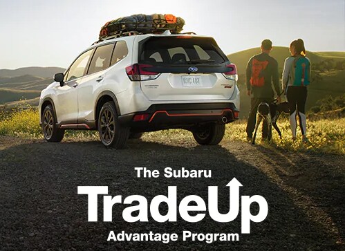 subaru trade up program.PNG