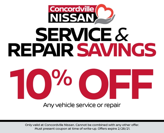 Service and Repair Service Special