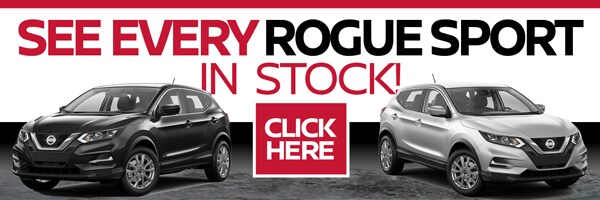 CVN-007-Inventory-Banners-Rogue-SP.png