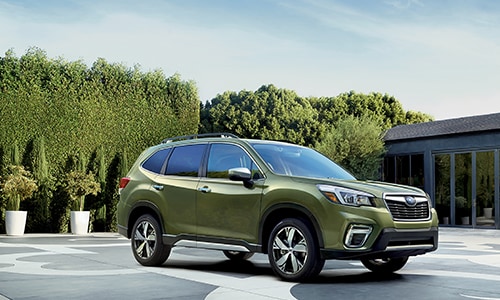 Forester Small Photo.jpg