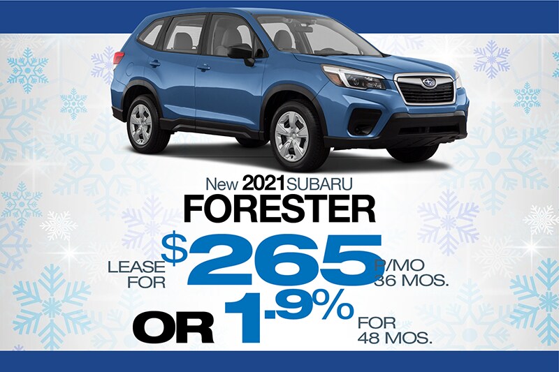 Concordville Subaru Forester Special