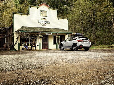 2019 Crosstrek 2.jpg