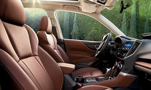 Forester Small Photo 3.jpg