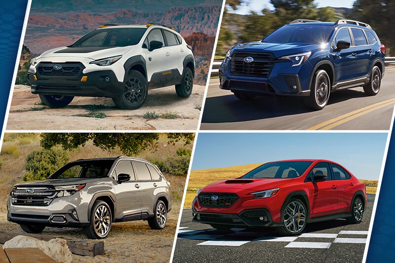 Multiple Subaru Models
