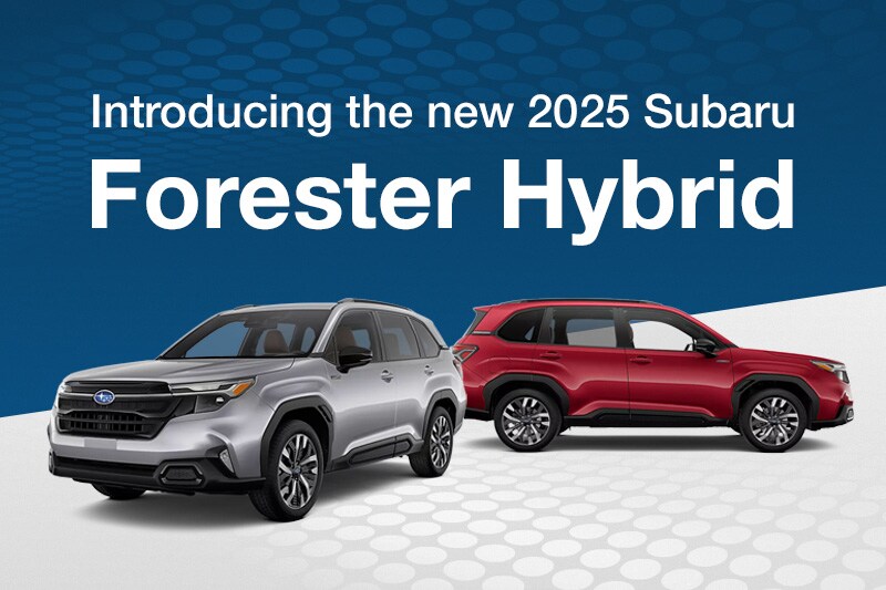 2025 Forester Hybrid