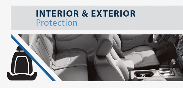 Conicelli Protection Plan - Interior & Exterior Protection