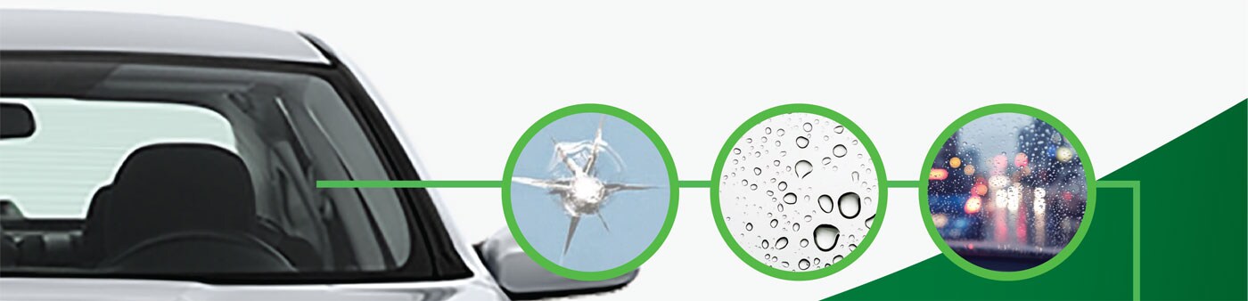 Renewal - Windshield Glass Modifier