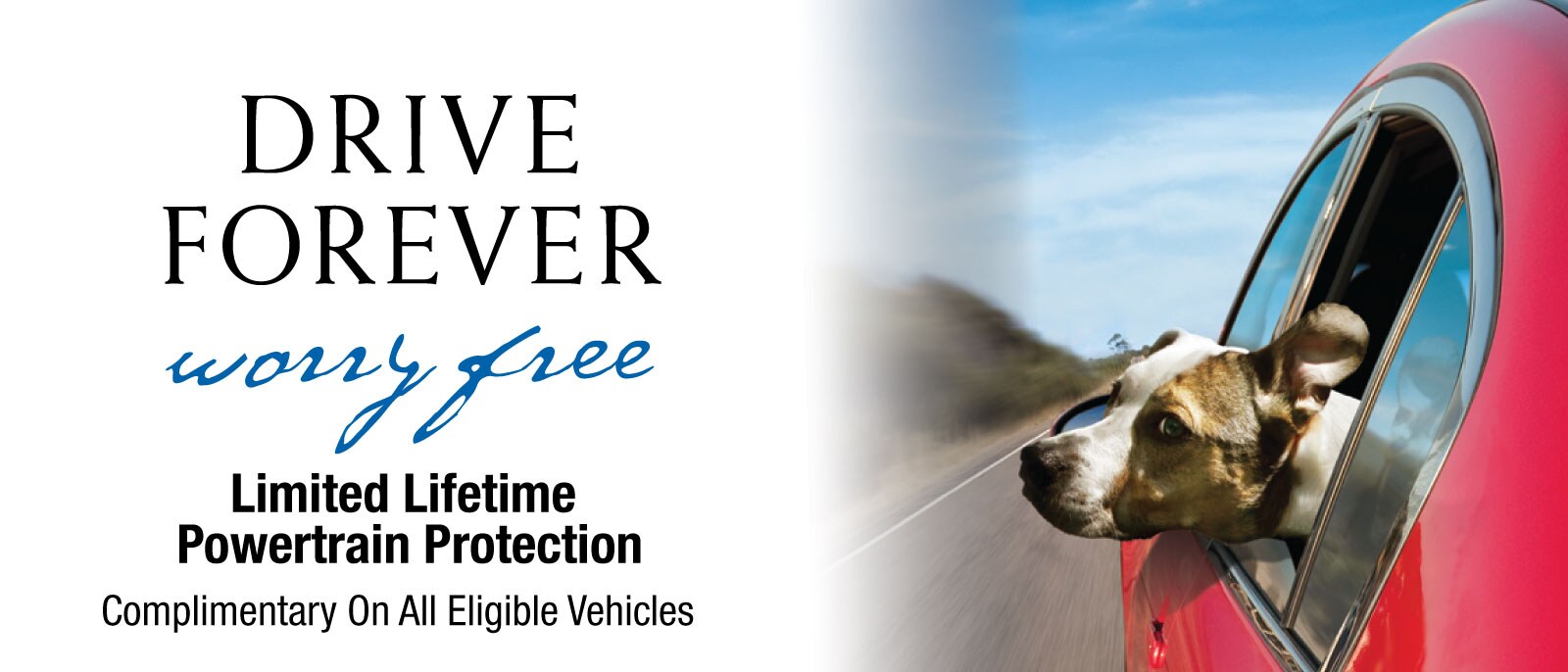 Drive Forever Protection Plan