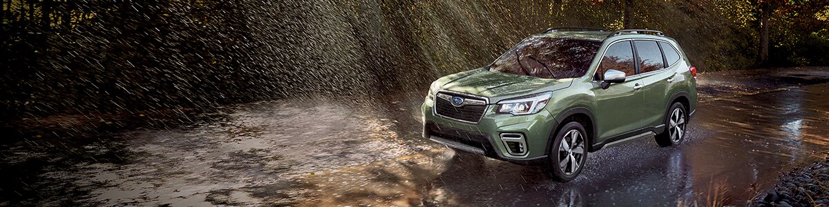 New Forester near Tampa FL.jpg
