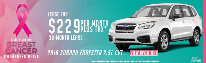 FORESTER229.png