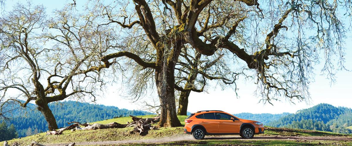 New Subaru Crosstrek in Florida Suncoast