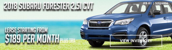 FORESTER189.png