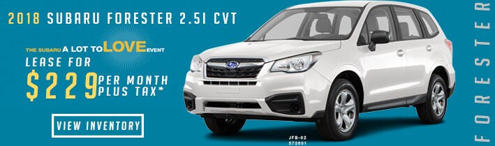 FORESTER229.png