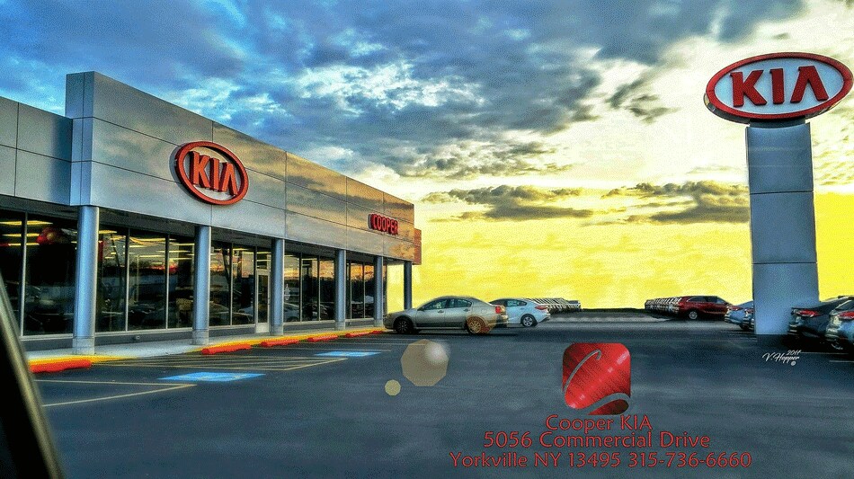 Cooper Kia.png