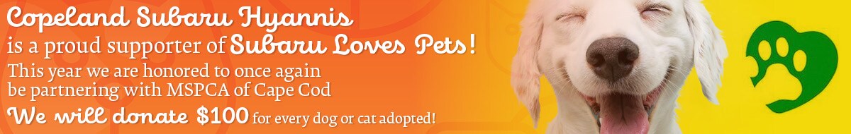 Pets1200x37523 2020 .jpg