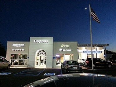 nightcoppus1.jpg