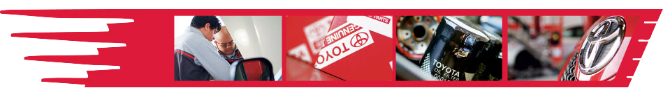 txm-lp-top-banner.png