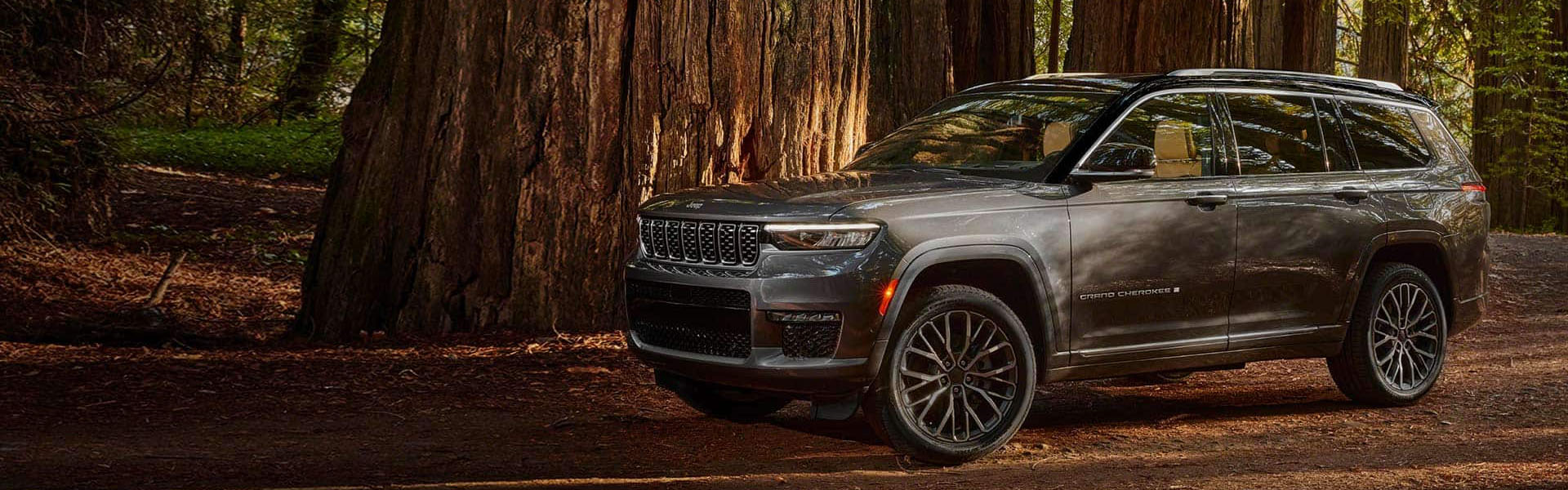 jeepext.jpg