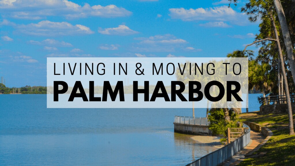 Palm-Harbor-1024x576.png