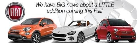 fiatbanner1.jpg
