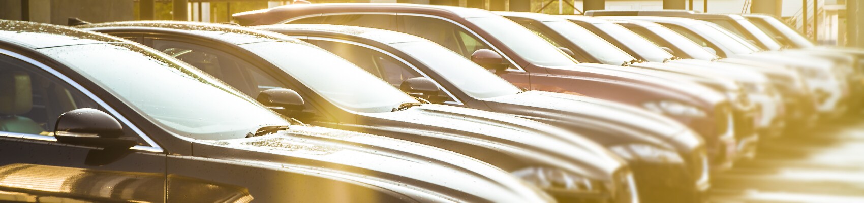 What to Look for in a Used Car