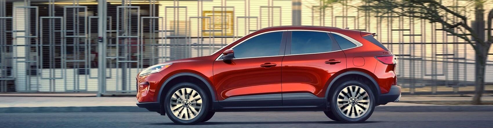 20_FRD_ESP_45960 (2).jpg