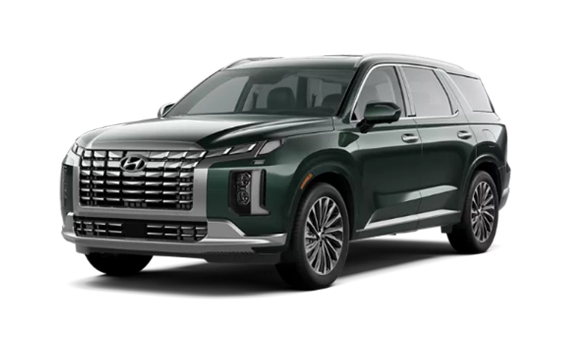 Hyundai Palisade Calligraphy