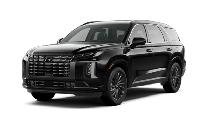 Hyundai Palisade Calligraphy Night