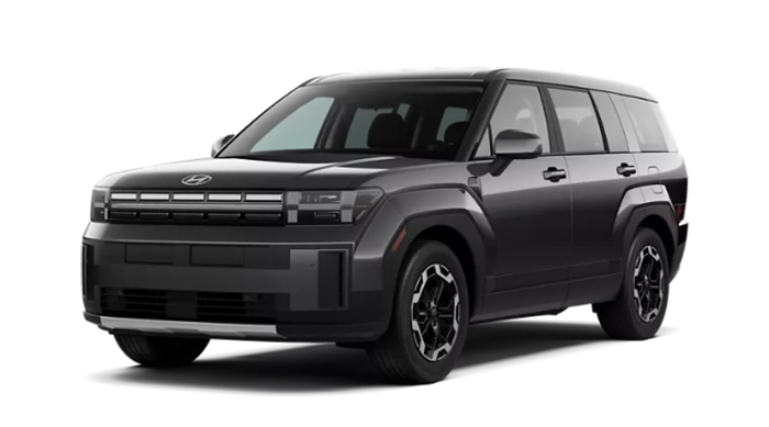 Hyundai Santa Fe SE Ecotronic Gray