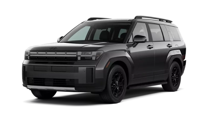 Hyundai Santa Fe XRT Ecotronic Gray