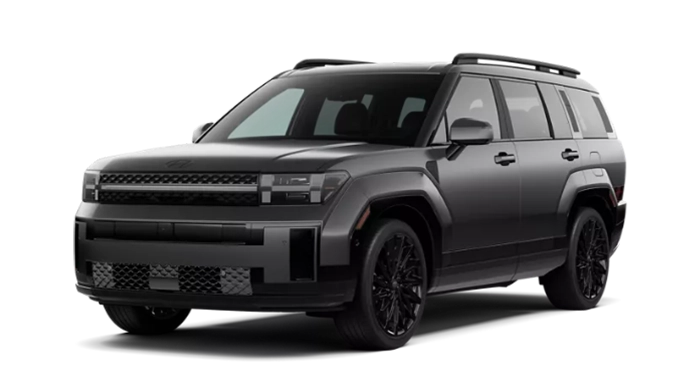 Hyundai Santa Fe Calligraphy Ecotronic Gray Matte