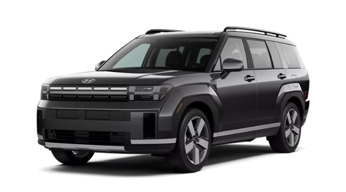 Hyundai Santa Fe Limited Ecotronic Gray