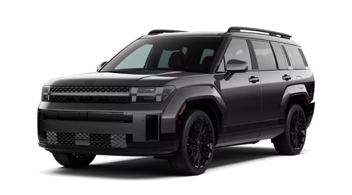 Hyundai Santa Fe Calligraphy Ecotronic Gray