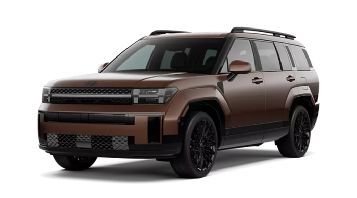 Hyundai Santa Fe Calligraphy Earthy Brass Matte