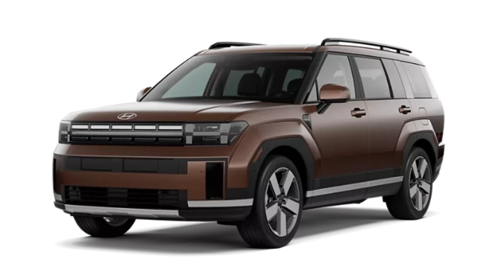 Hyundai Santa Fe Limited Earthy Brass Matte